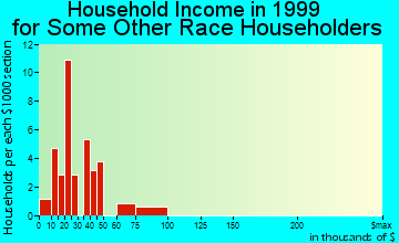 Jarales household income for some other race householders