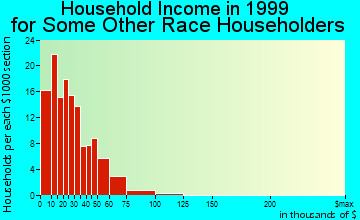 Silver City household income for some other race householders