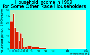 Socorro household income for some other race householders