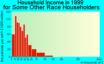 South Valley household income for some other race householders