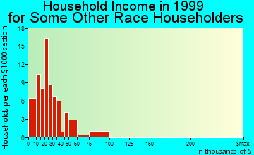 Amsterdam household income for some other race householders