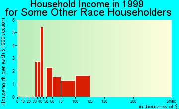 Bellerose Terrace household income for some other race householders
