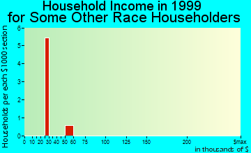 Blauvelt household income for some other race householders