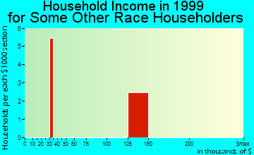 Blue Point household income for some other race householders