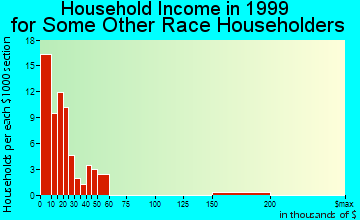 Dunkirk household income for some other race householders