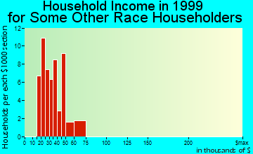 Fort Drum household income for some other race householders