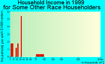 Great Neck Plaza household income for some other race householders