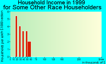 Nyack household income for some other race householders