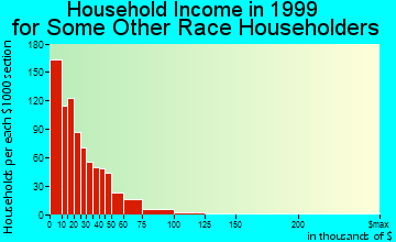 Rochester household income for some other race householders