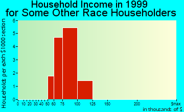 Ronkonkoma household income for some other race householders