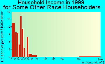 Schenectady household income for some other race householders