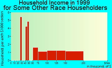 South Farmingdale household income for some other race householders