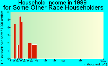 Wappingers Falls household income for some other race householders
