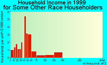 West Hempstead household income for some other race householders
