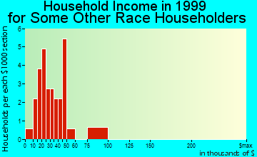 Biscoe household income for some other race householders