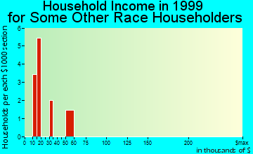 Clinton household income for some other race householders
