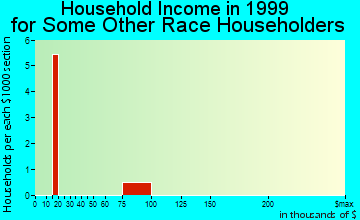 Coats household income for some other race householders