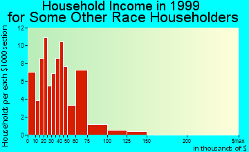 High Point household income for some other race householders