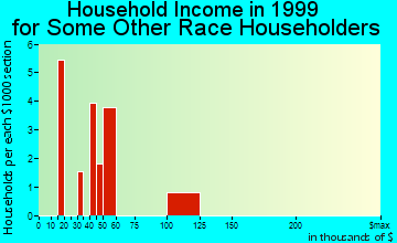 Austintown household income for some other race householders
