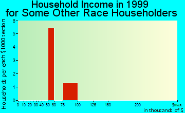 Bay Village household income for some other race householders