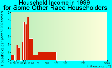 Belmont household income for some other race householders