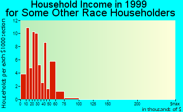Fremont household income for some other race householders