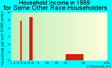 Mentor household income for some other race householders