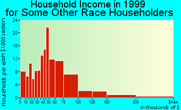 Camarillo household income for some other race householders