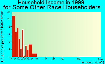 Youngstown household income for some other race householders