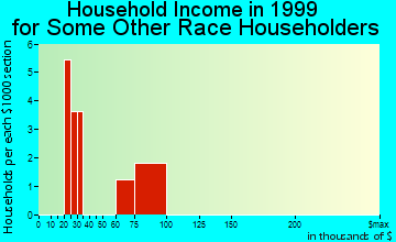 Burns Flat household income for some other race householders