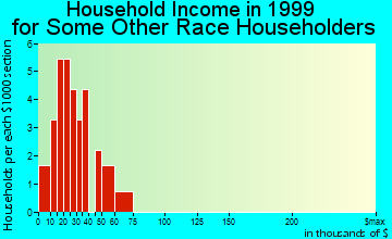 Carnegie household income for some other race householders