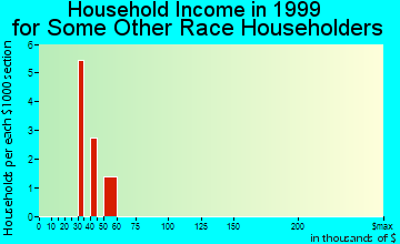 Elgin household income for some other race householders