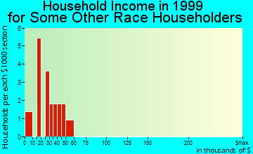 Grandfield household income for some other race householders