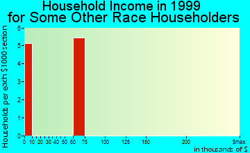 Holdenville household income for some other race householders