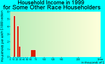 Jay household income for some other race householders
