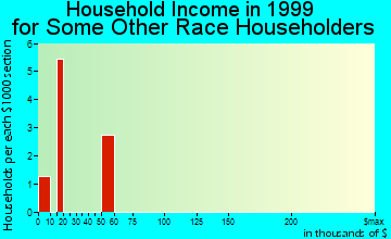 Bunker Hill household income for some other race householders