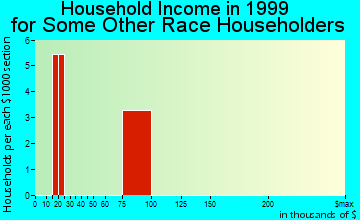 Falls City household income for some other race householders