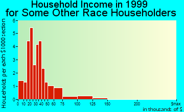 Hubbard household income for some other race householders