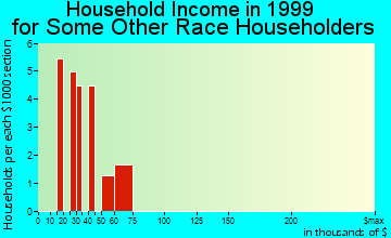 Labish Village household income for some other race householders