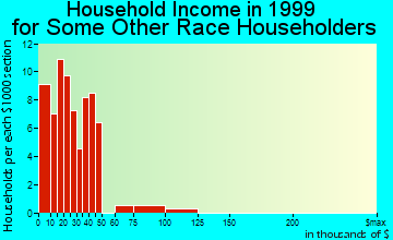 Nyssa household income for some other race householders