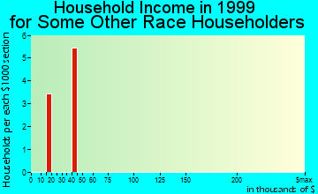 Bradford household income for some other race householders
