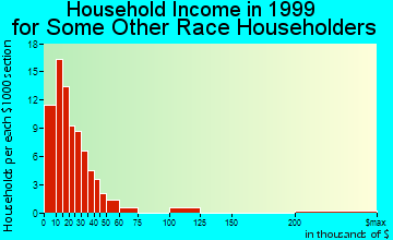 Chester household income for some other race householders