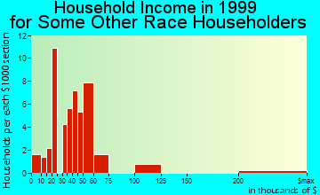 Empire household income for some other race householders