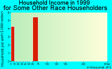 Toughkenamon household income for some other race householders