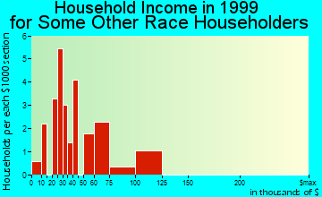 Warminster Heights household income for some other race householders