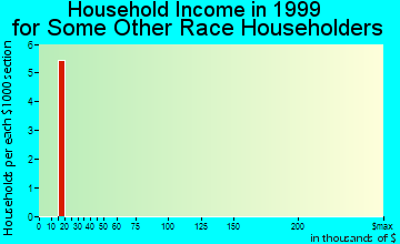 West Brownsville household income for some other race householders