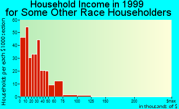 York household income for some other race householders