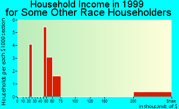 Aiken household income for some other race householders
