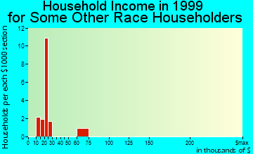 Homeland household income for some other race householders