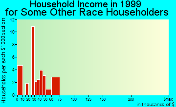 Rock Hill household income for some other race householders